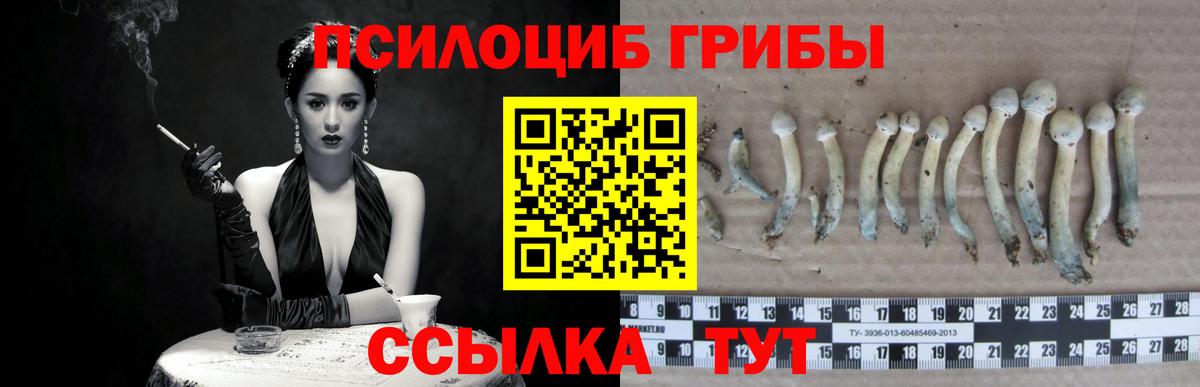 магазин  наркотиков  Галлюциногенные грибы Psilocybine cubensis  Галлюциногенные грибы мухоморы  Вход с VPN  Муром 